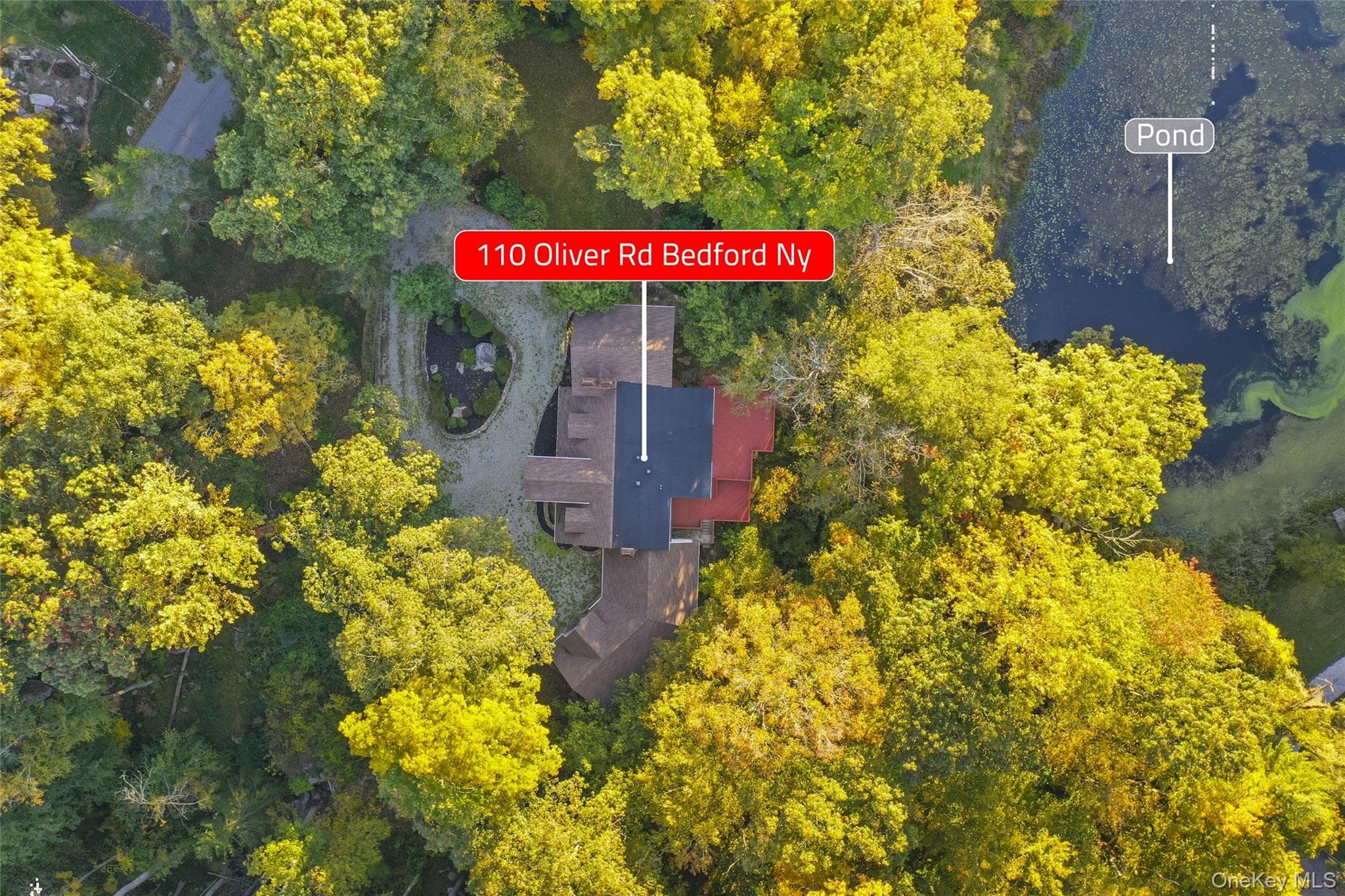 110 Oliver Road thumbnail 6