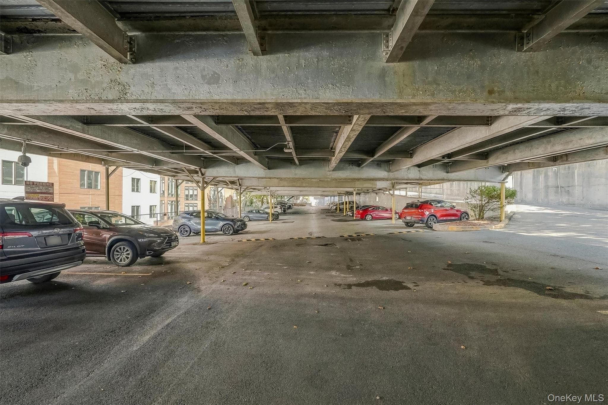 642 Locust Street Unit: 4H thumbnail 29