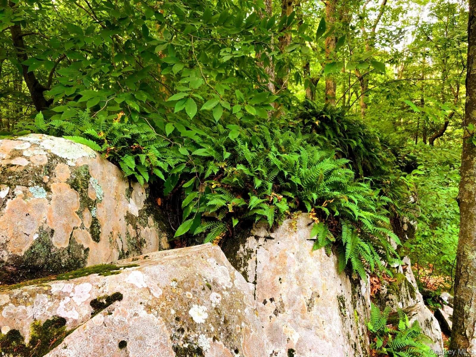 30 Old East Road thumbnail 6