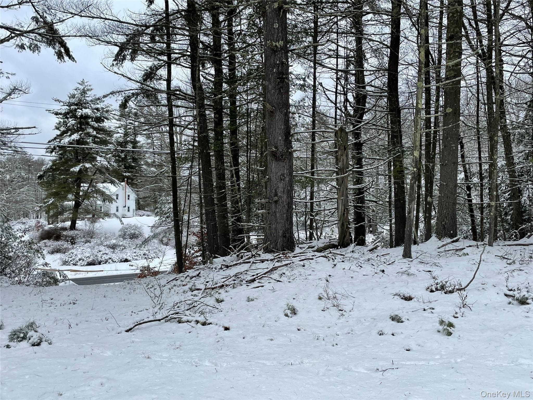 1315 Sackett Lake Rd RD thumbnail 7