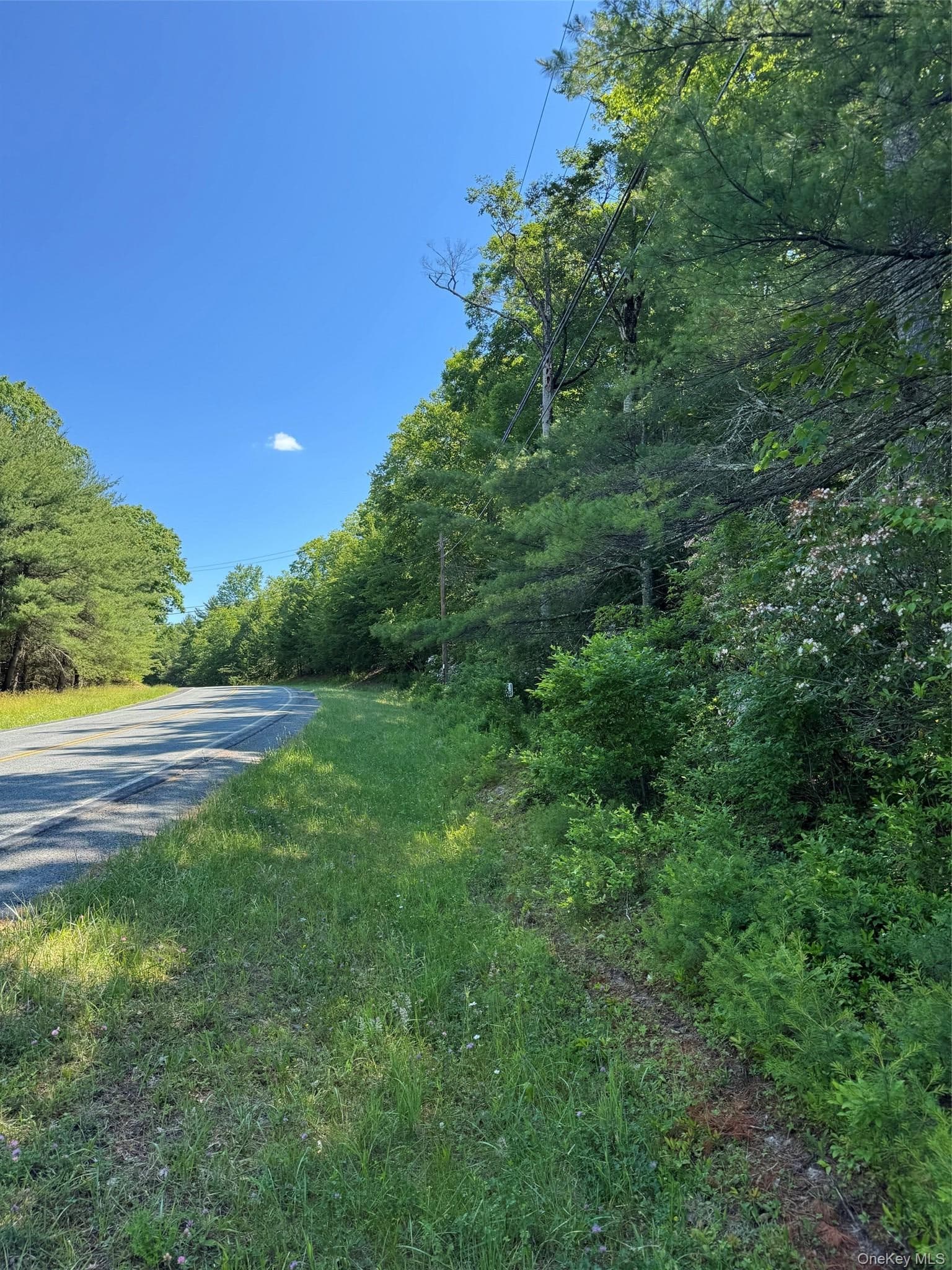 1315 Sackett Lake Rd RD thumbnail 3