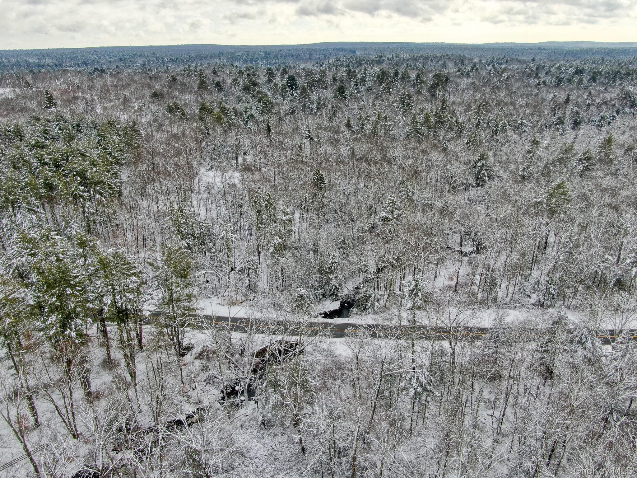 1315 Sackett Lake Rd RD thumbnail 6