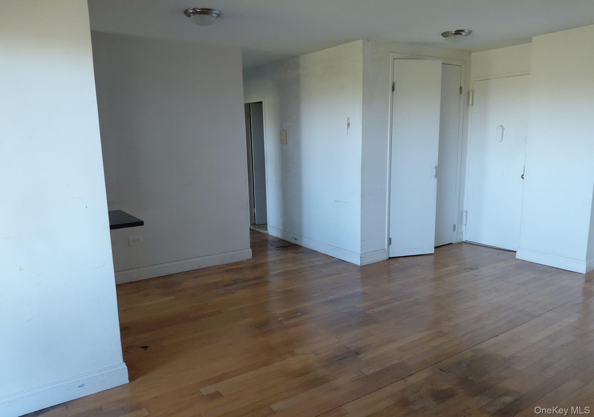 1019 Van Siclen Avenue Unit: 9-7L thumbnail 3