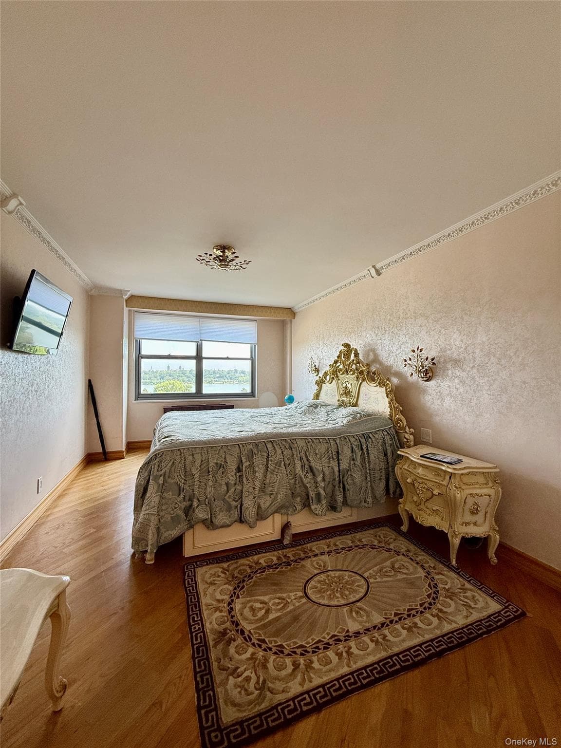 61-20 Grand Central Parkway Unit: C 905 thumbnail 16