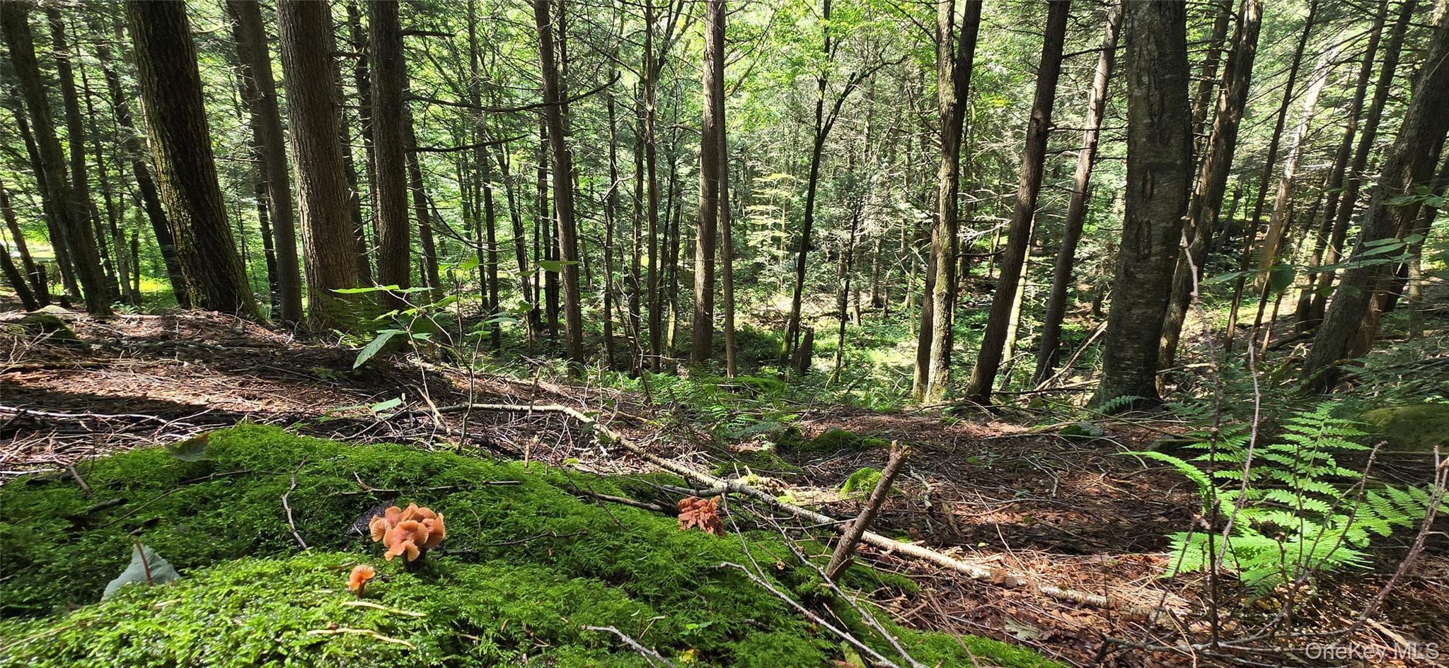 2735 Denning Road thumbnail 47