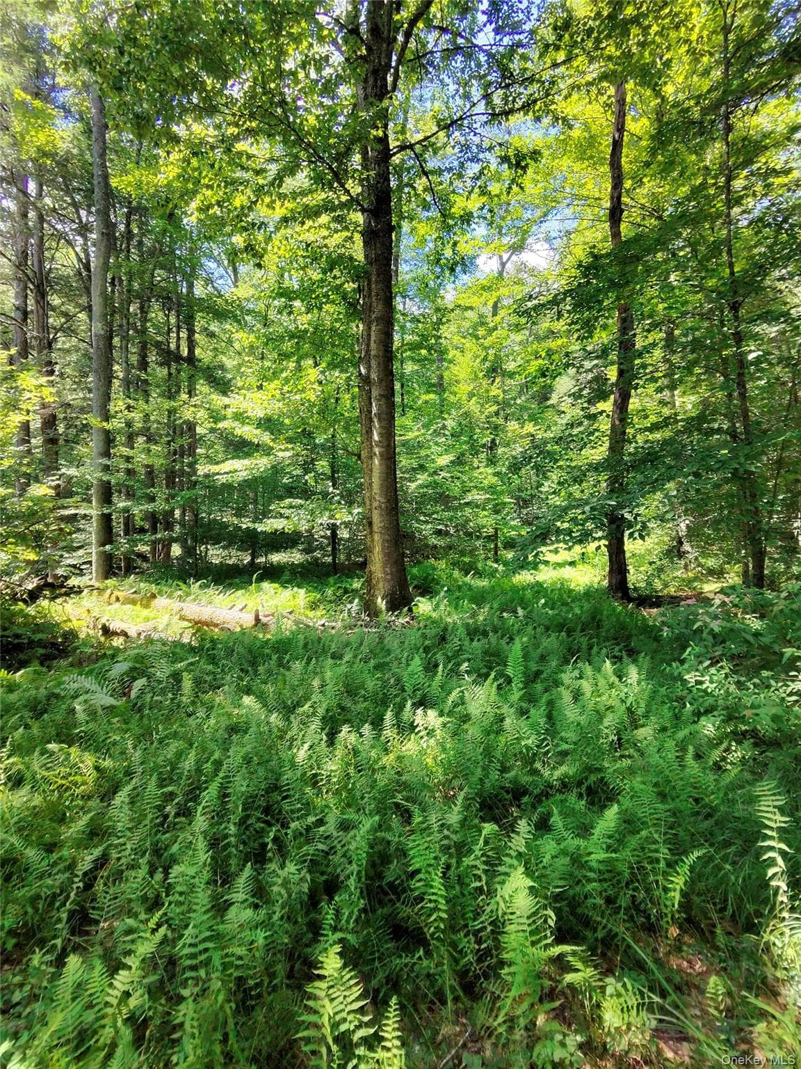 2735 Denning Road thumbnail 49