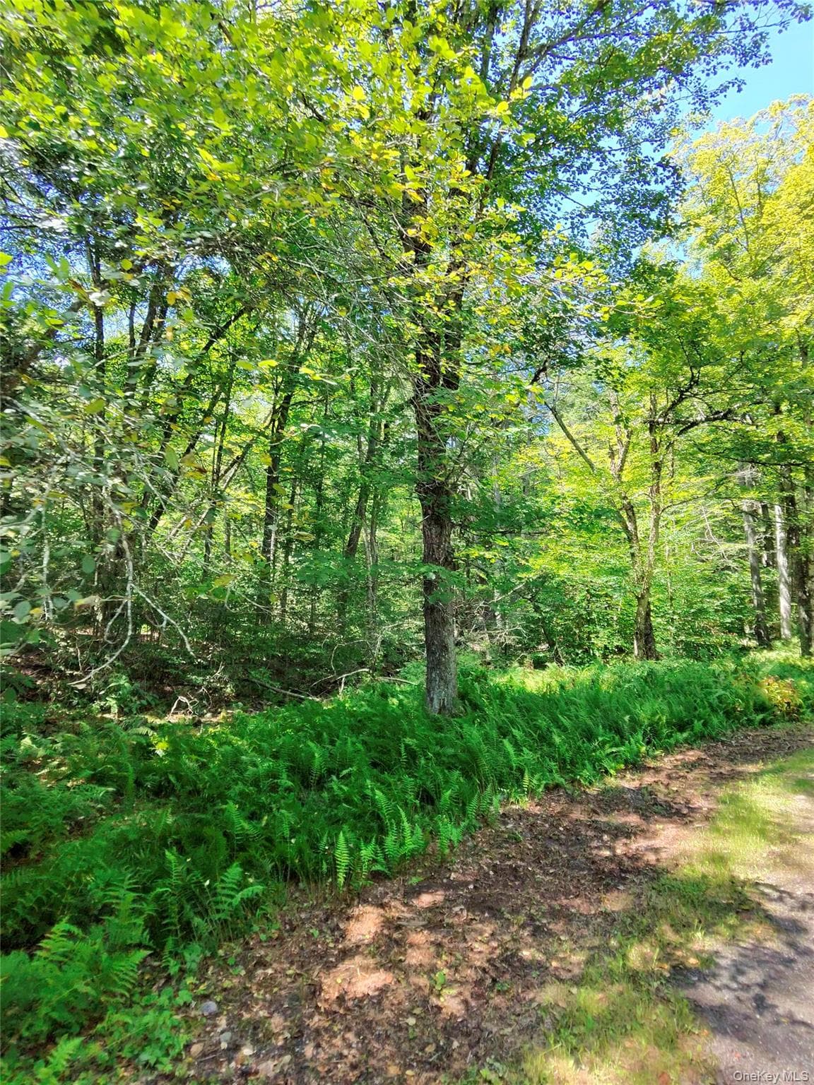 2735 Denning Road thumbnail 48