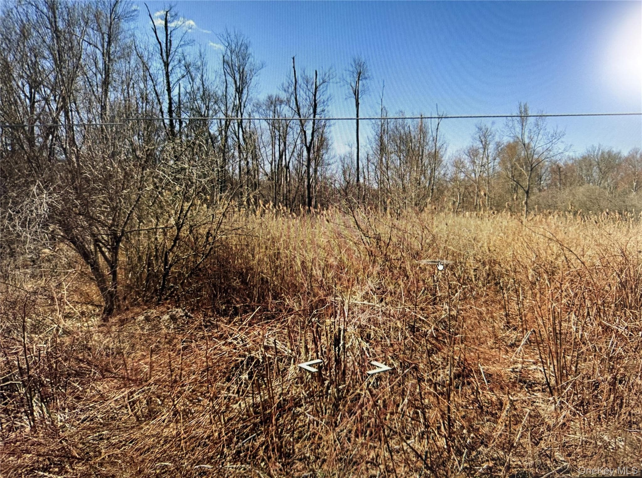 Clove Road photo 1