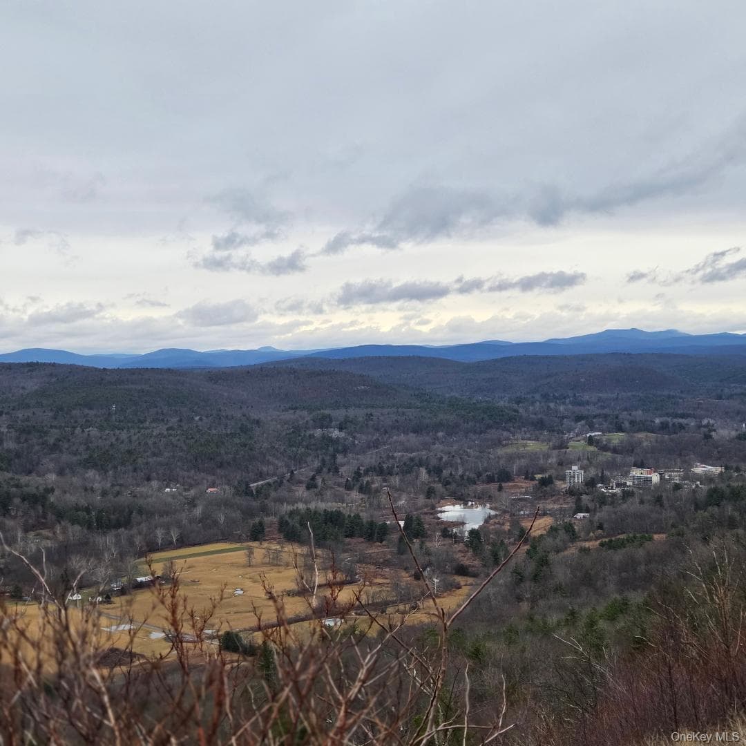 112 State Route 55 thumbnail 41