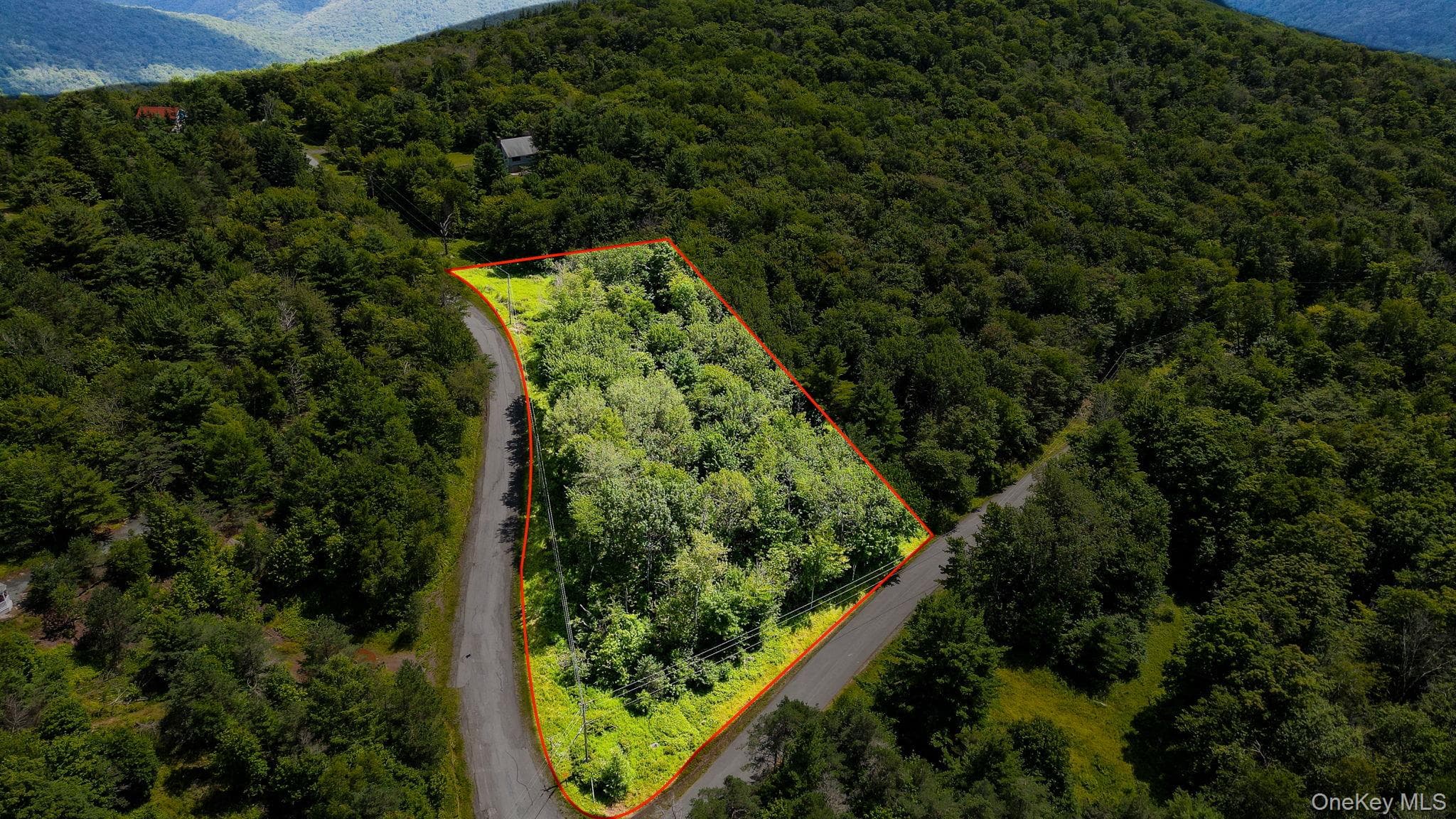 00 Red Hill Knolls Road, Grahamsville