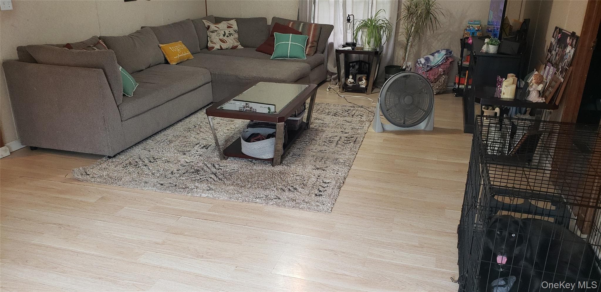 168 Harris Road thumbnail 4