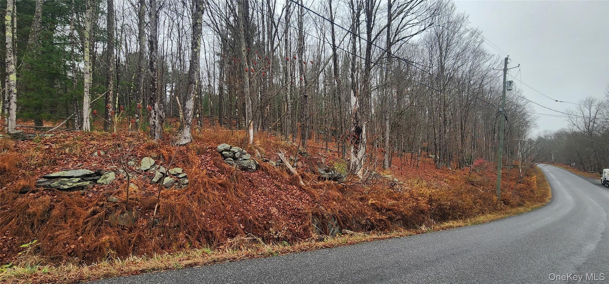 Thompson Road thumbnail 7