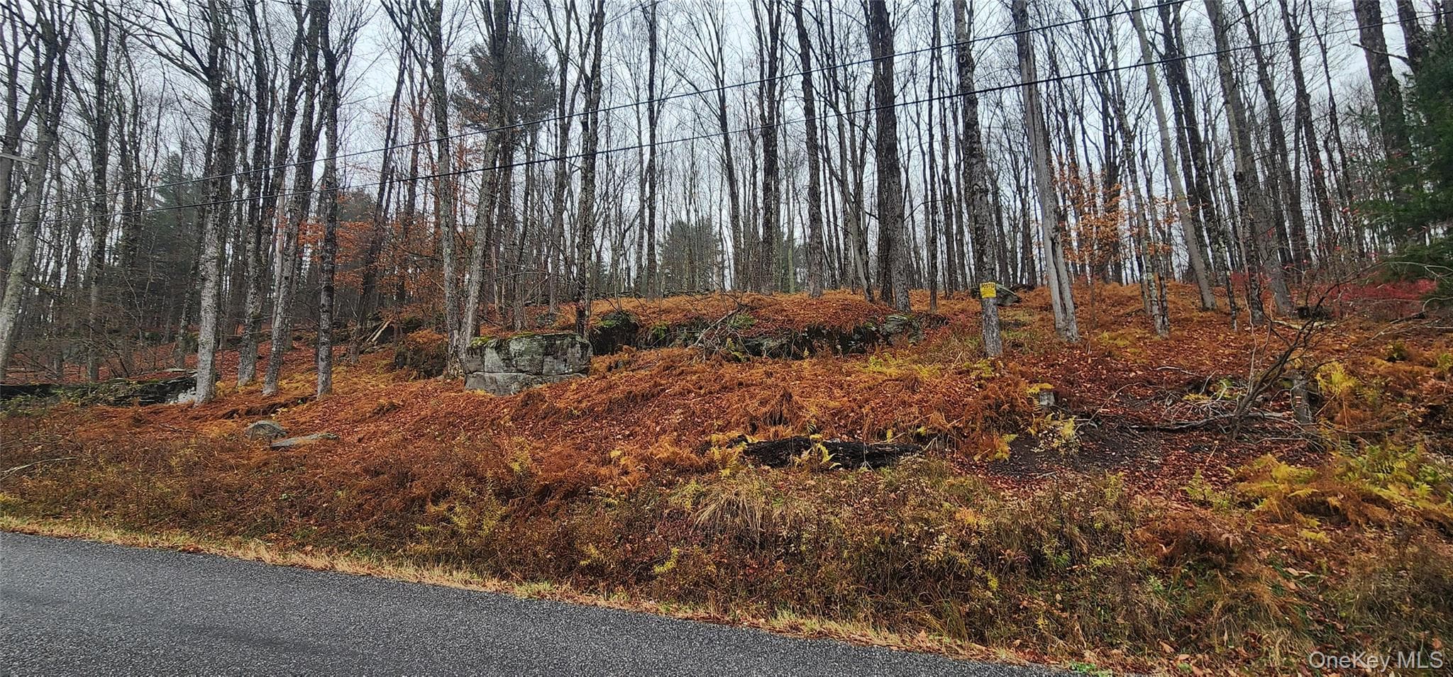 Thompson Road thumbnail 11