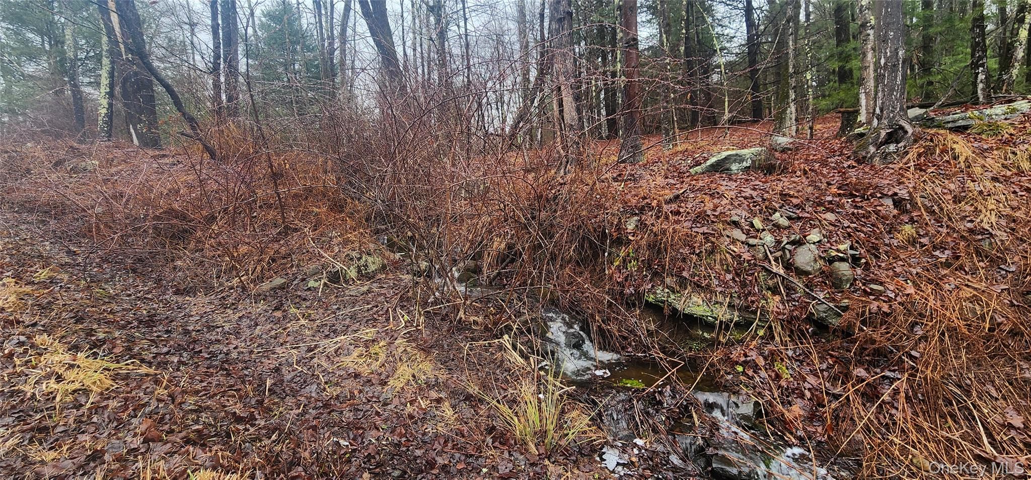 Thompson Road thumbnail 4