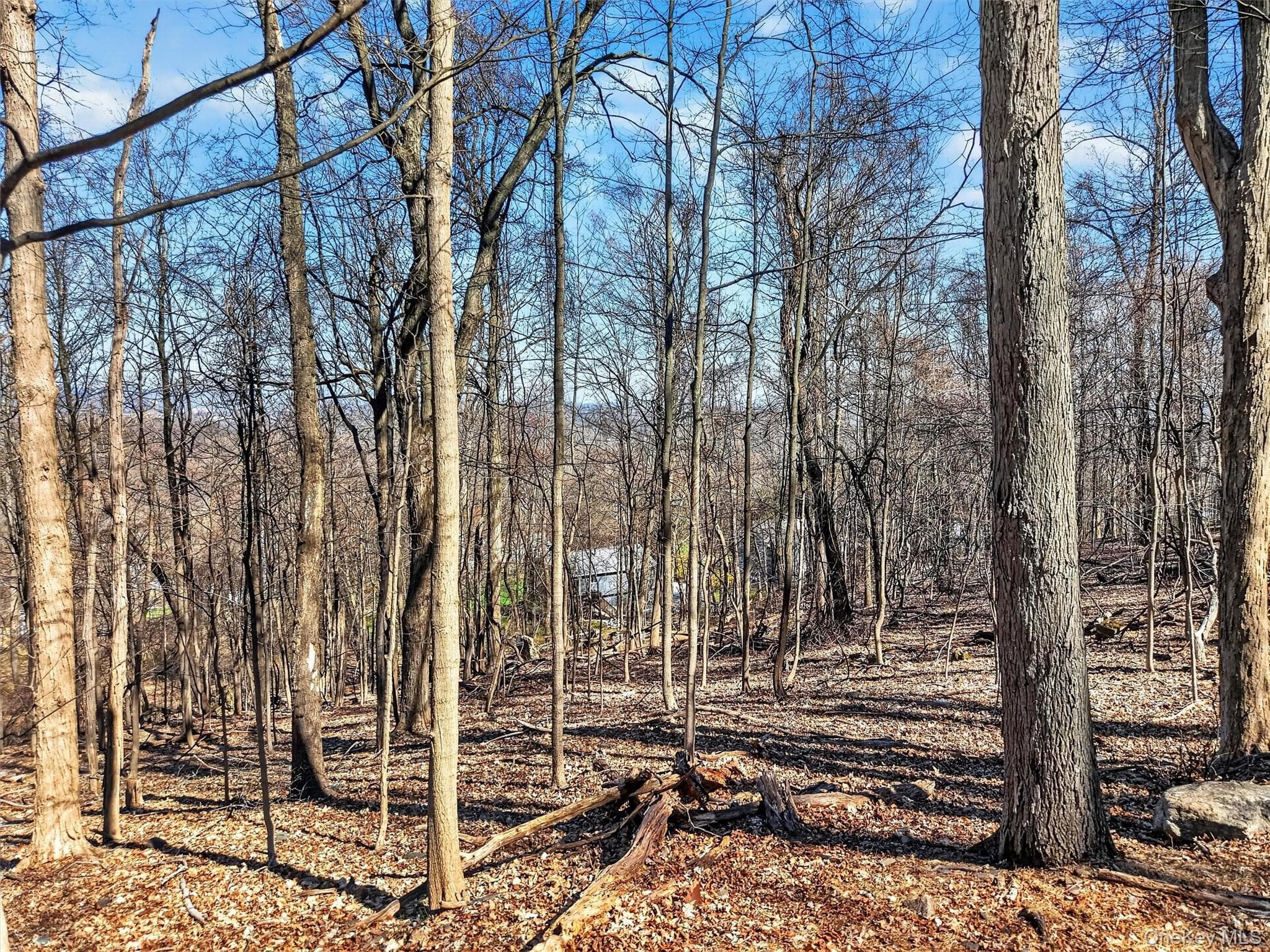 15-16 Hideaway Place thumbnail 6