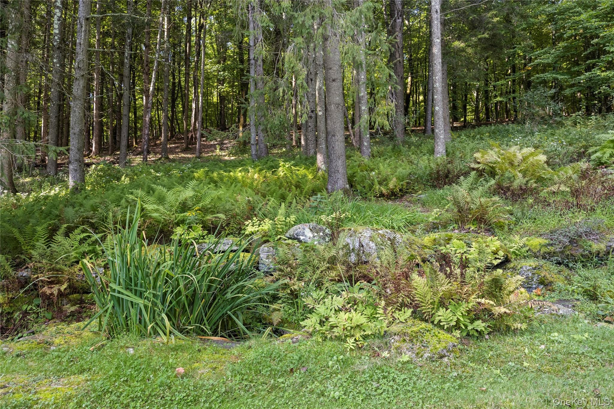 81 Tinker Hill Road thumbnail 20