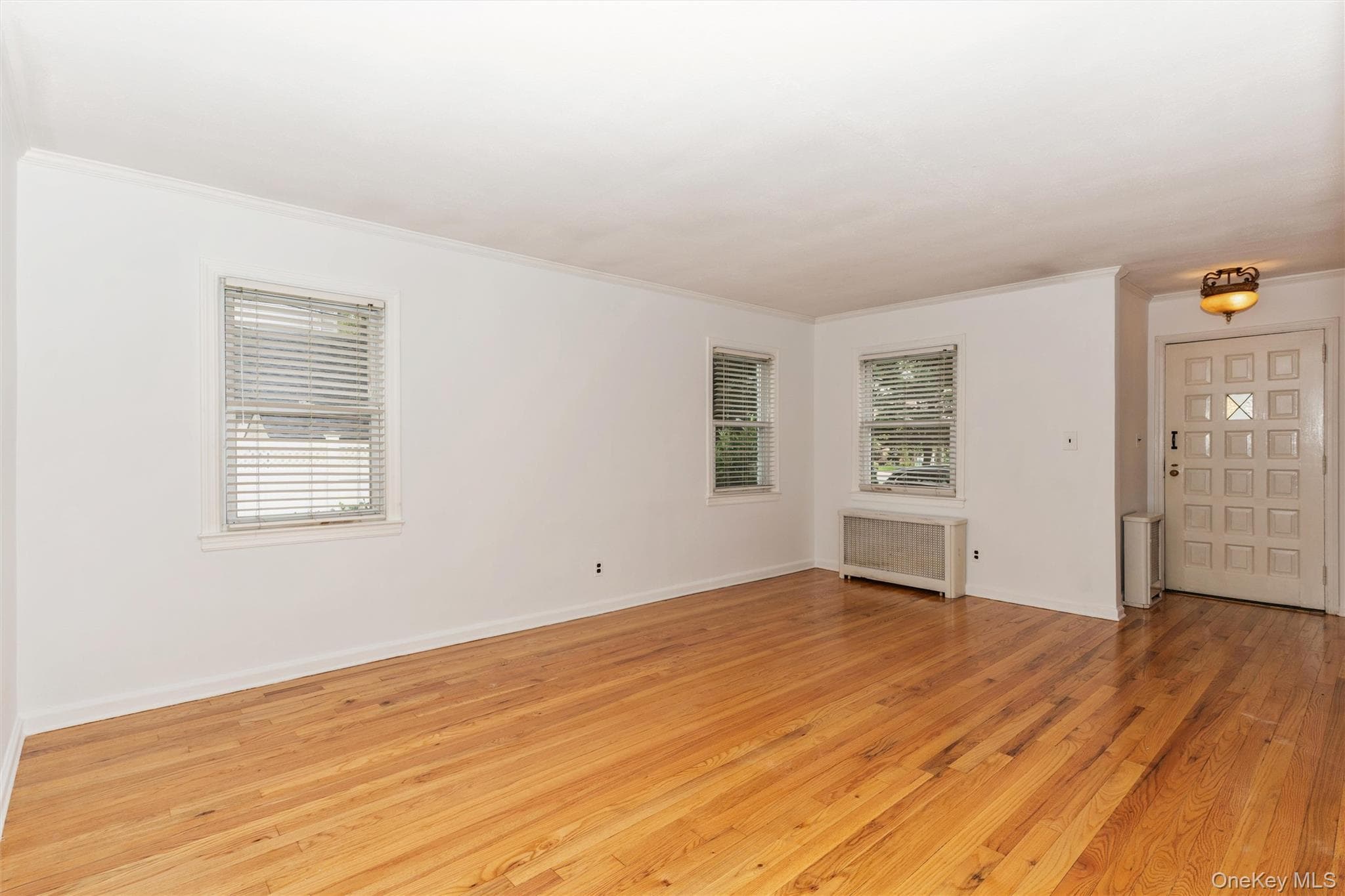 1493 New Hyde Park Drive thumbnail 7