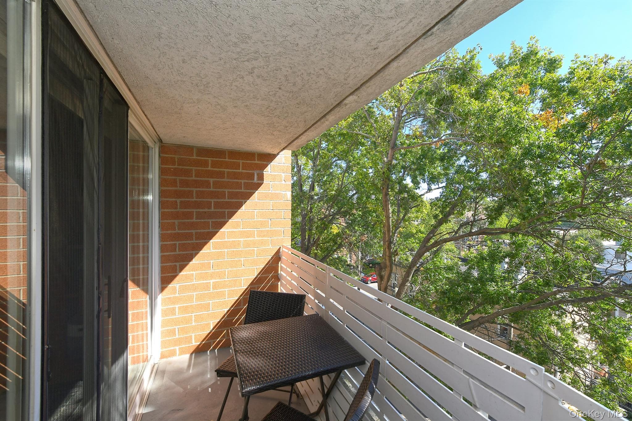 205 Mineola Boulevard Unit: 5I thumbnail 15