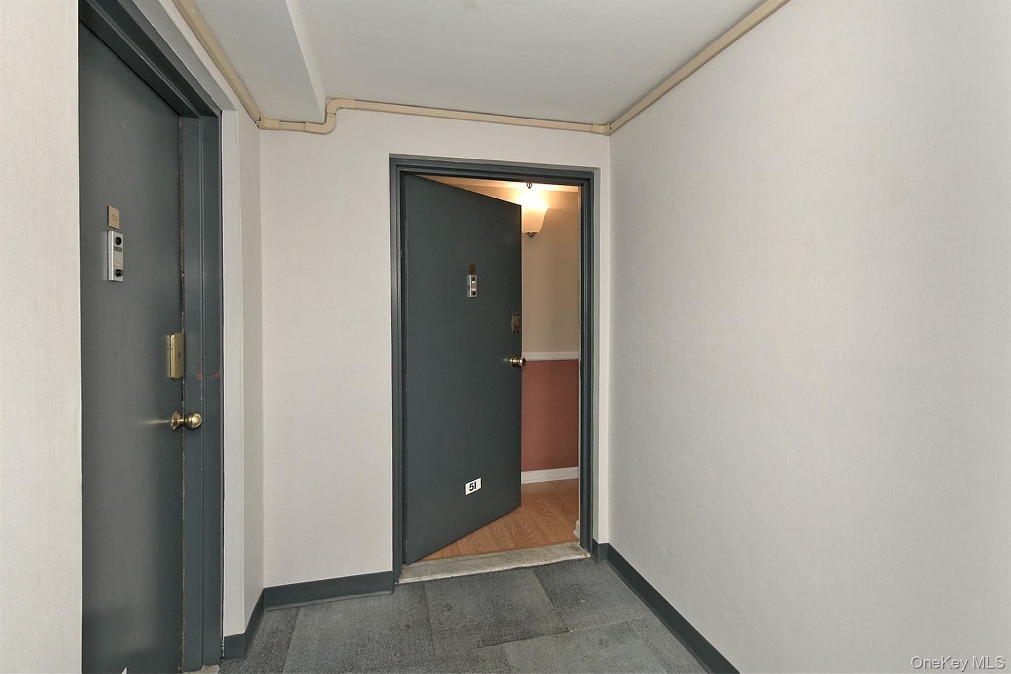 205 Mineola Boulevard Unit: 5I thumbnail 8