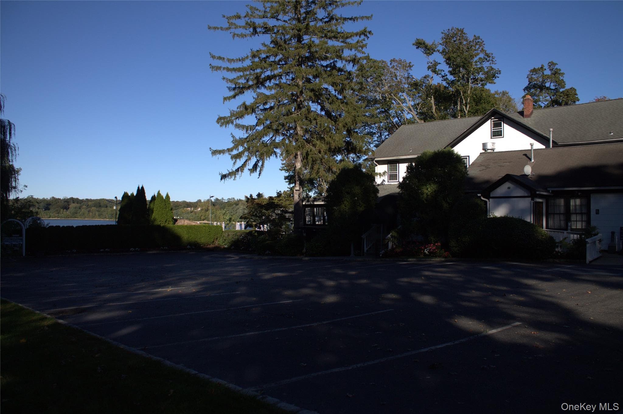 161 Rose Drive thumbnail 2