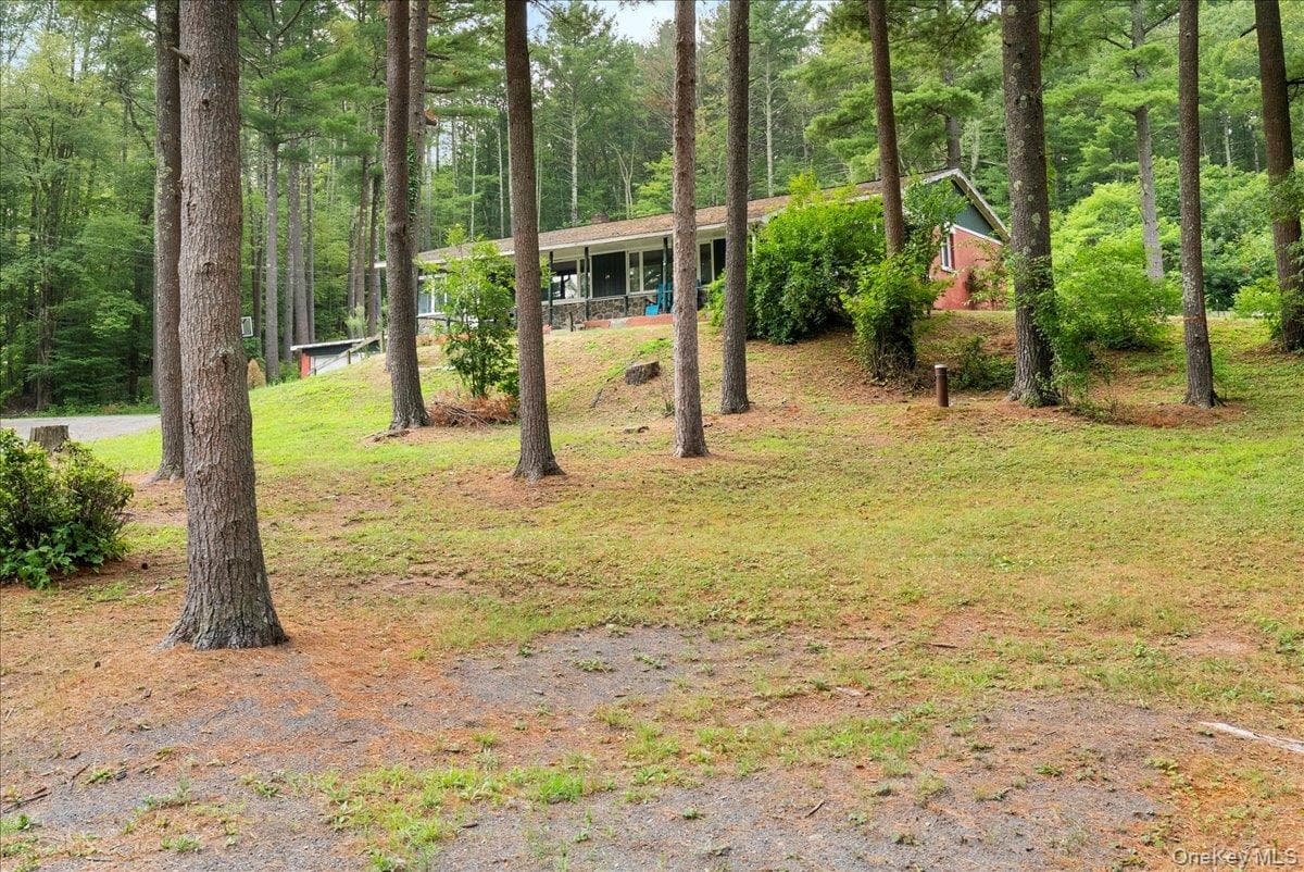 24 Alpine Drive thumbnail 35