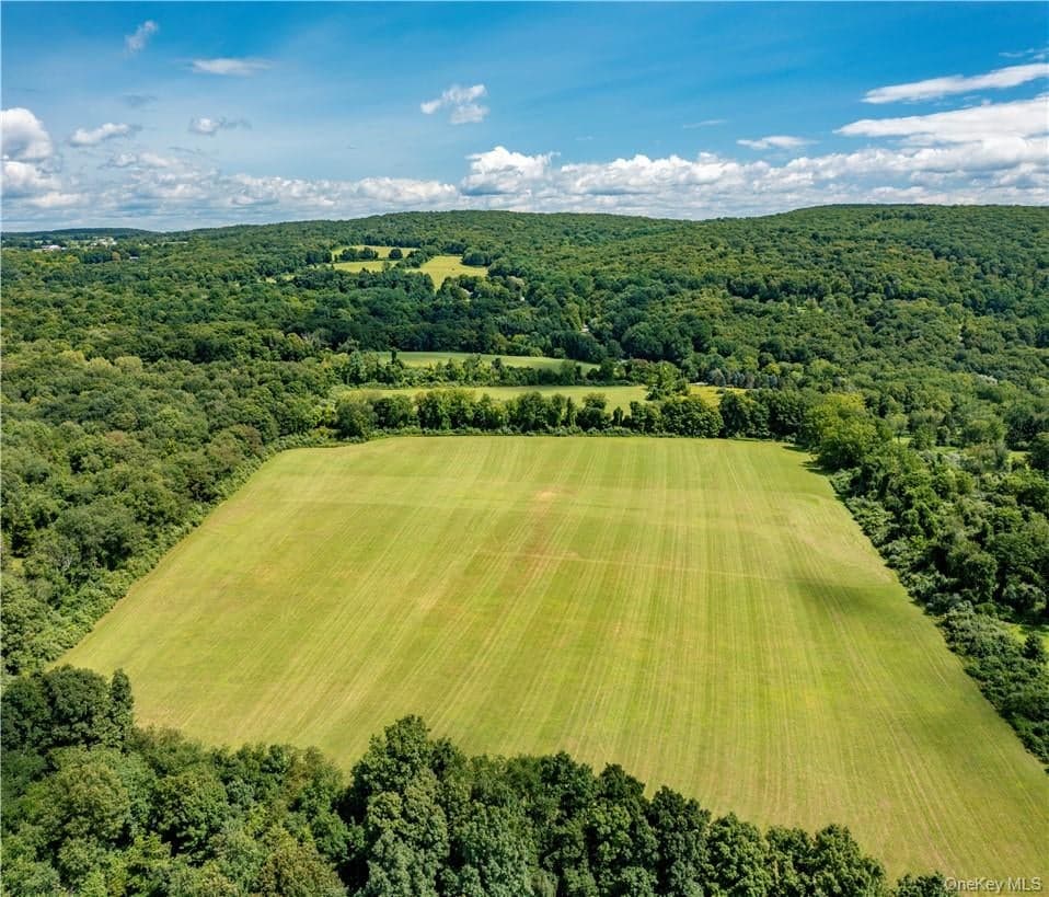 245 Birch Hill Road thumbnail 7