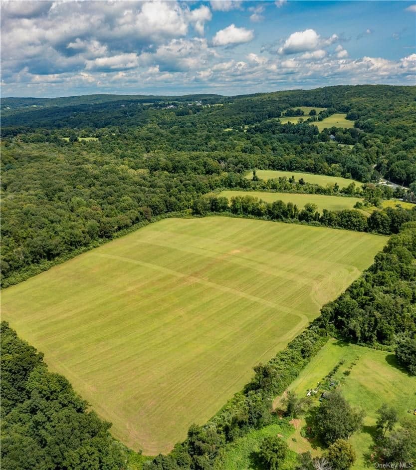 245 Birch Hill Road thumbnail 10