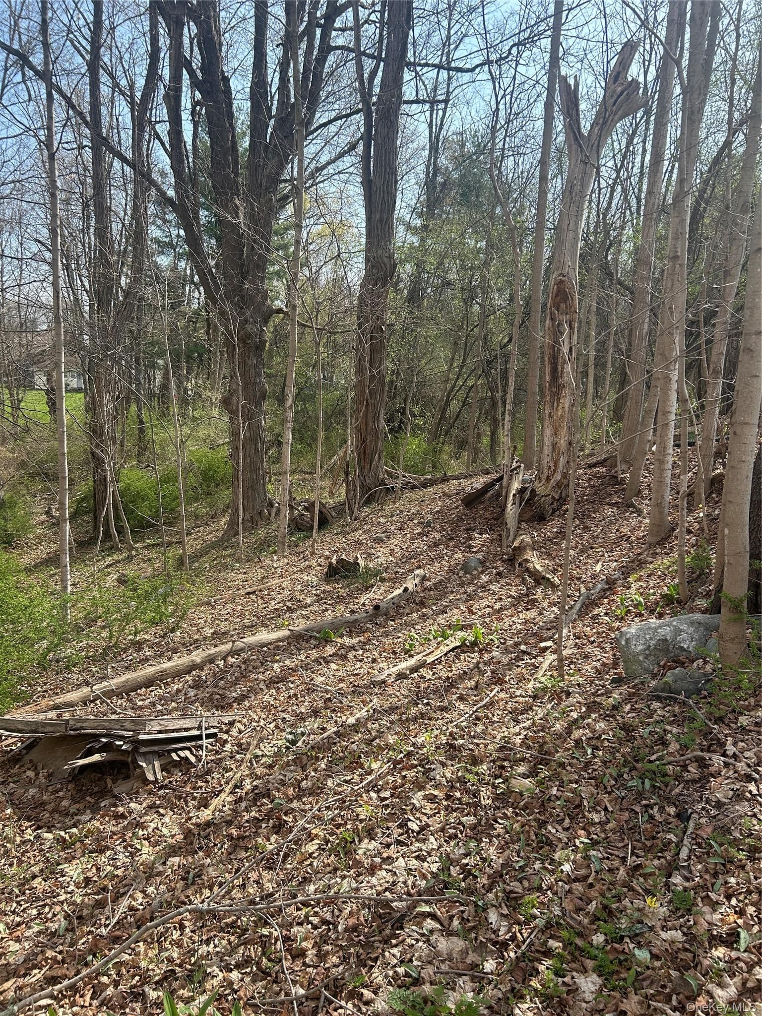 E Noxon Road thumbnail 6