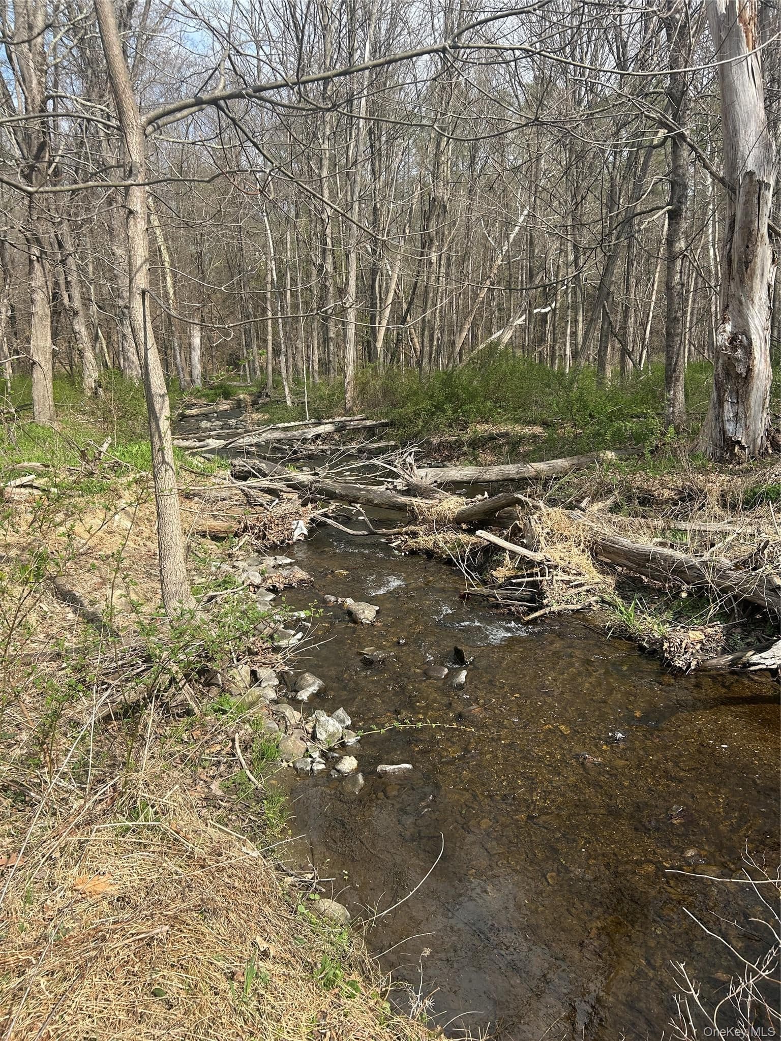 E Noxon Road thumbnail 5