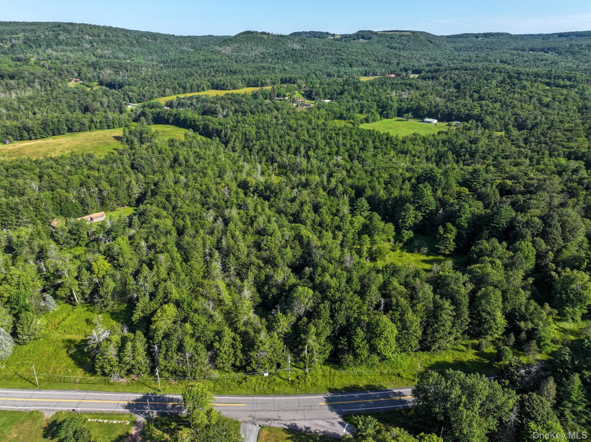 LOT 3 Neversink Road thumbnail 4
