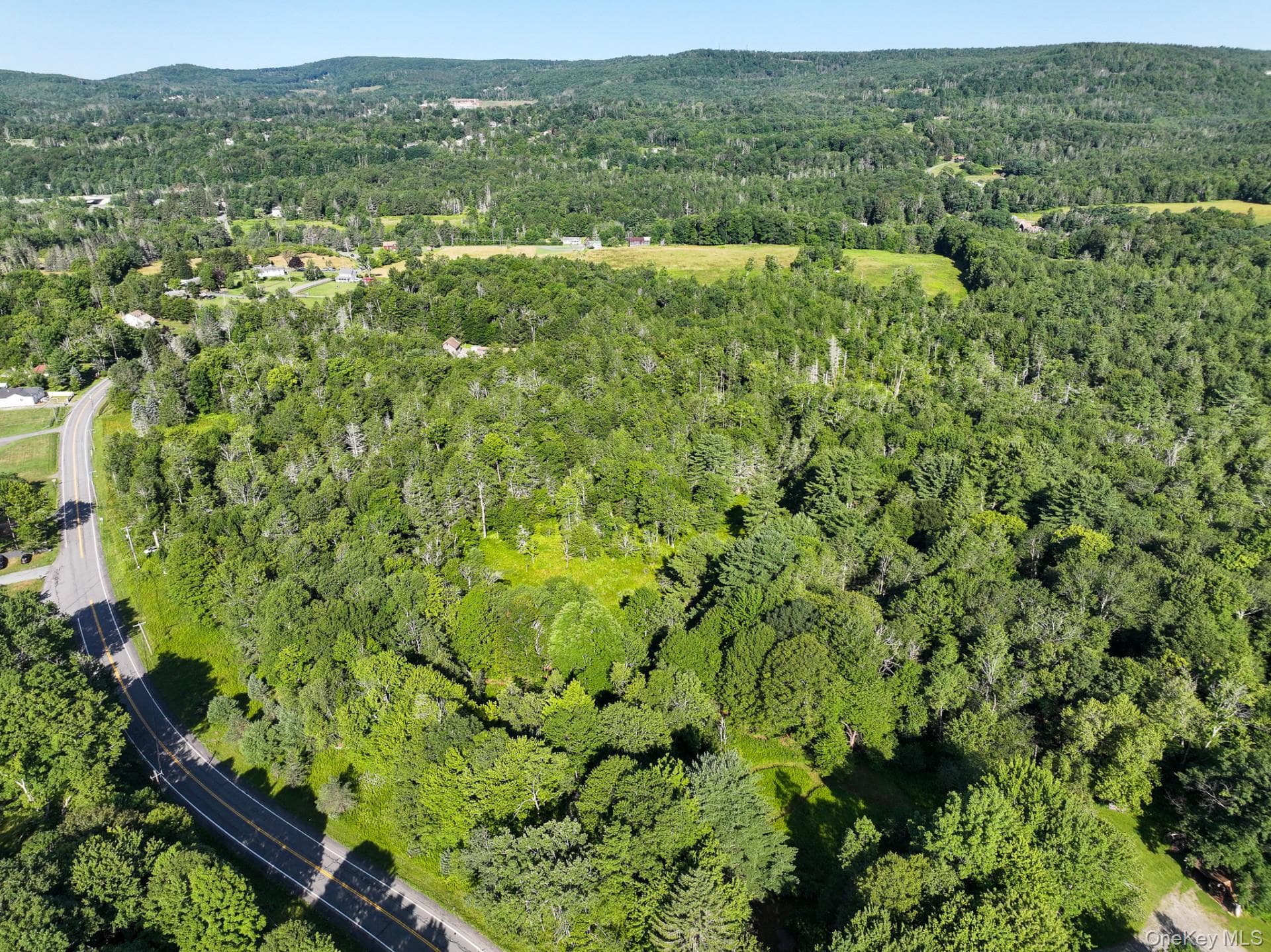 LOT 3 Neversink Road thumbnail 12