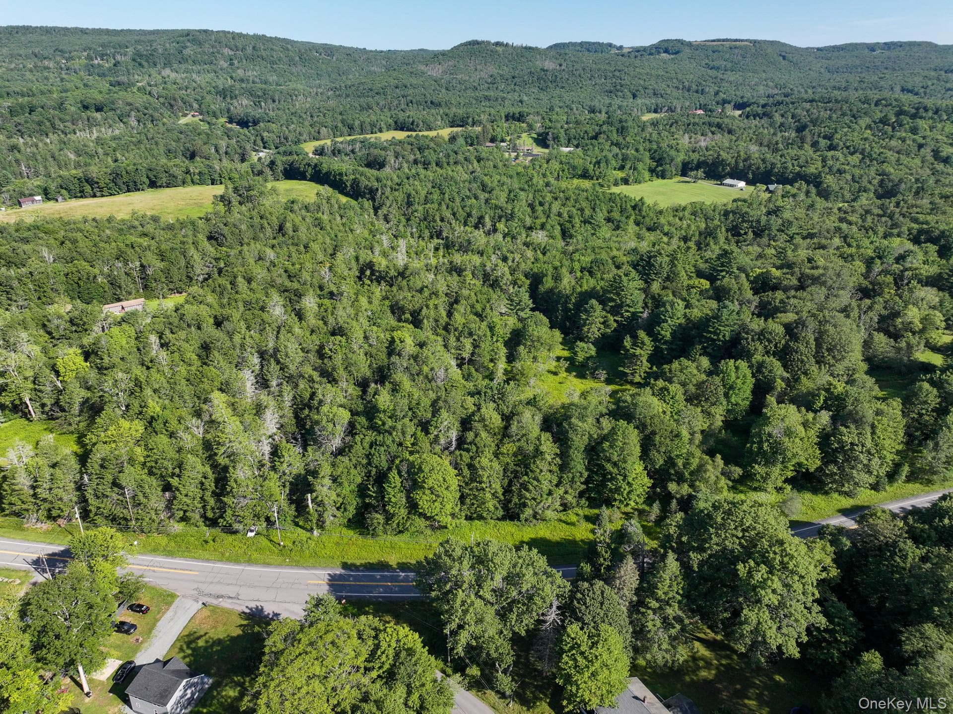 LOT 3 Neversink Road thumbnail 5
