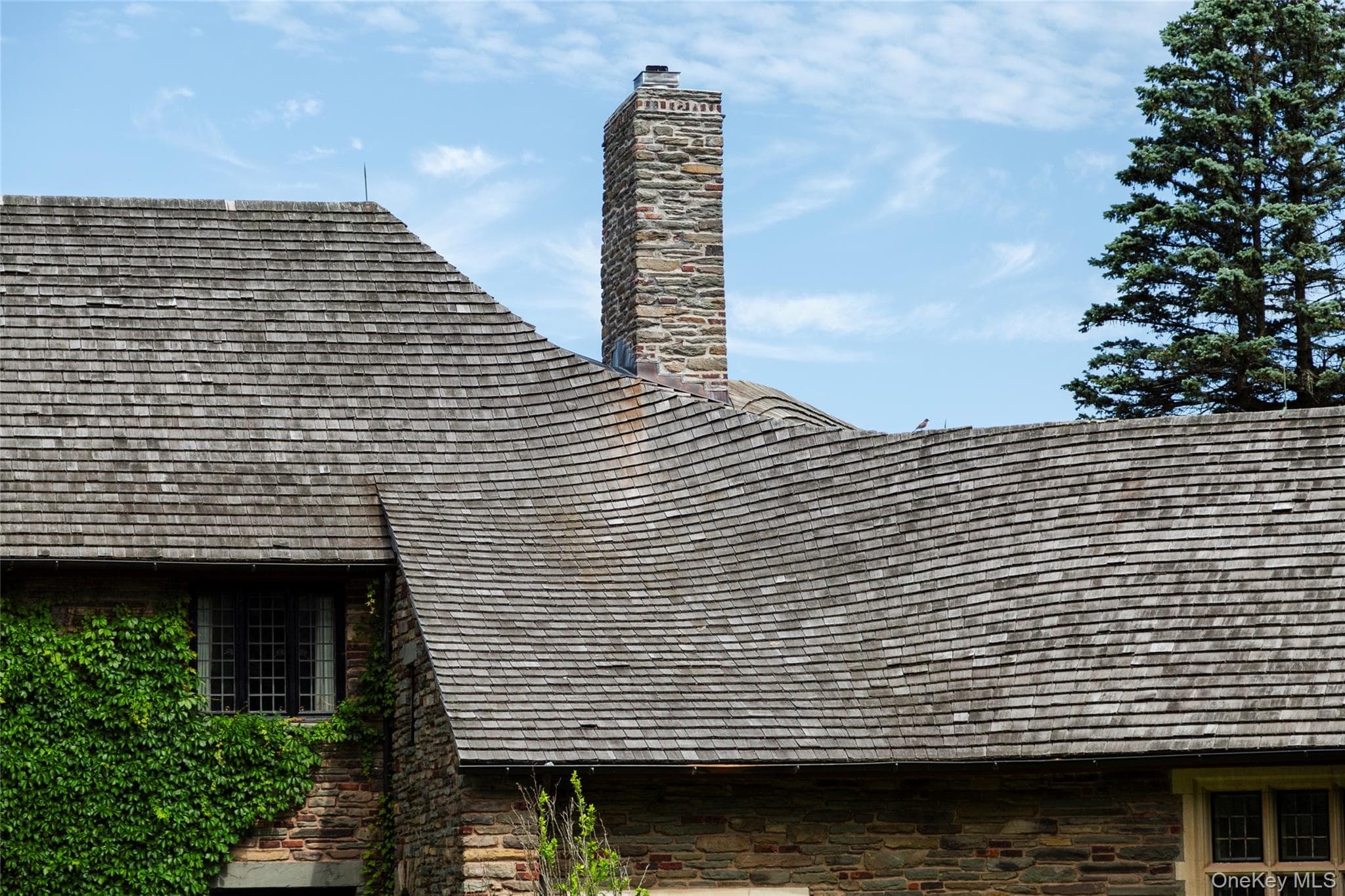 352 Galli Curci Rd thumbnail 12