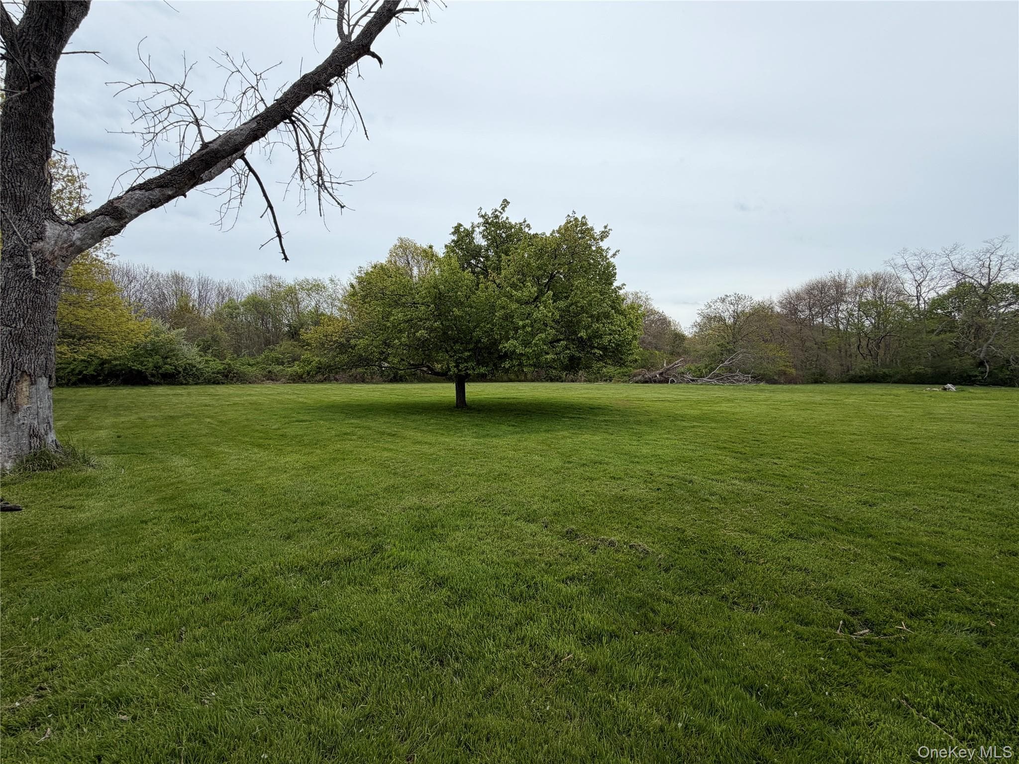 69430 Main Road thumbnail 10