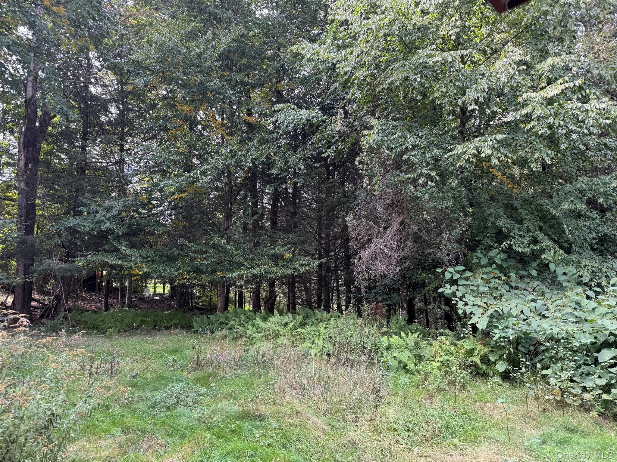 186 Twin Bridge Road thumbnail 13