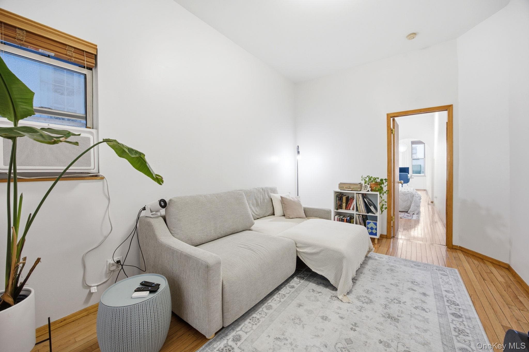 317 Eckford Street thumbnail 5