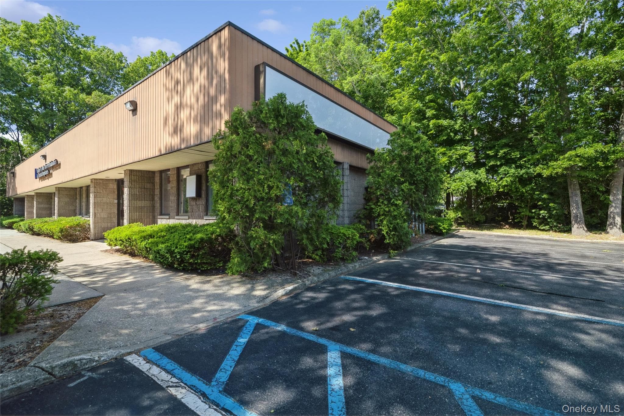 1641A Medford Avenue thumbnail 5