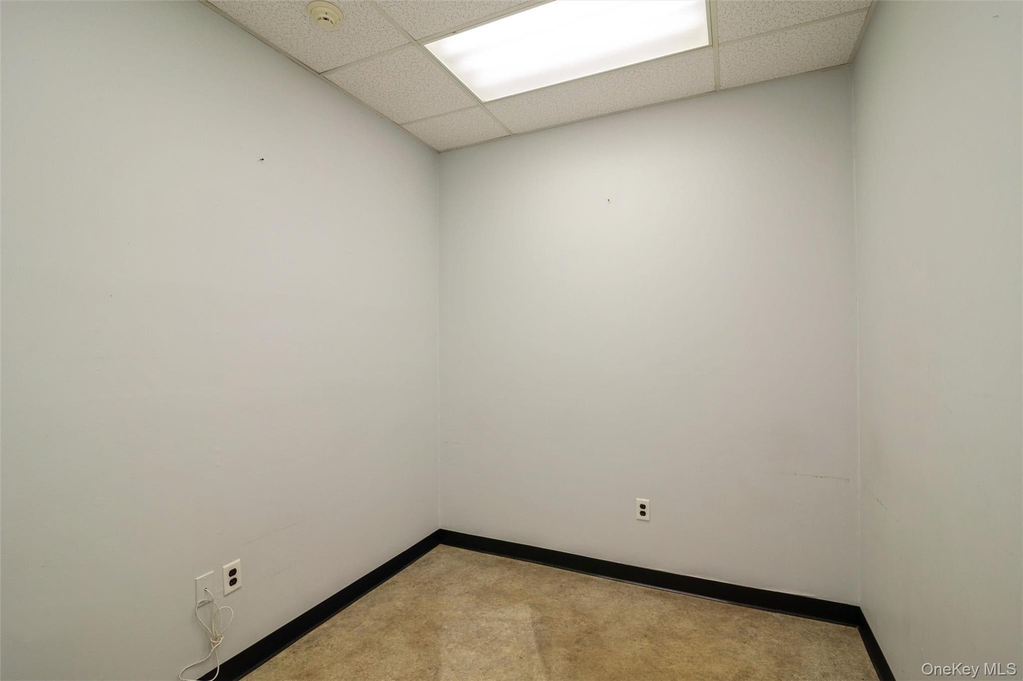 1641A Medford Avenue thumbnail 15