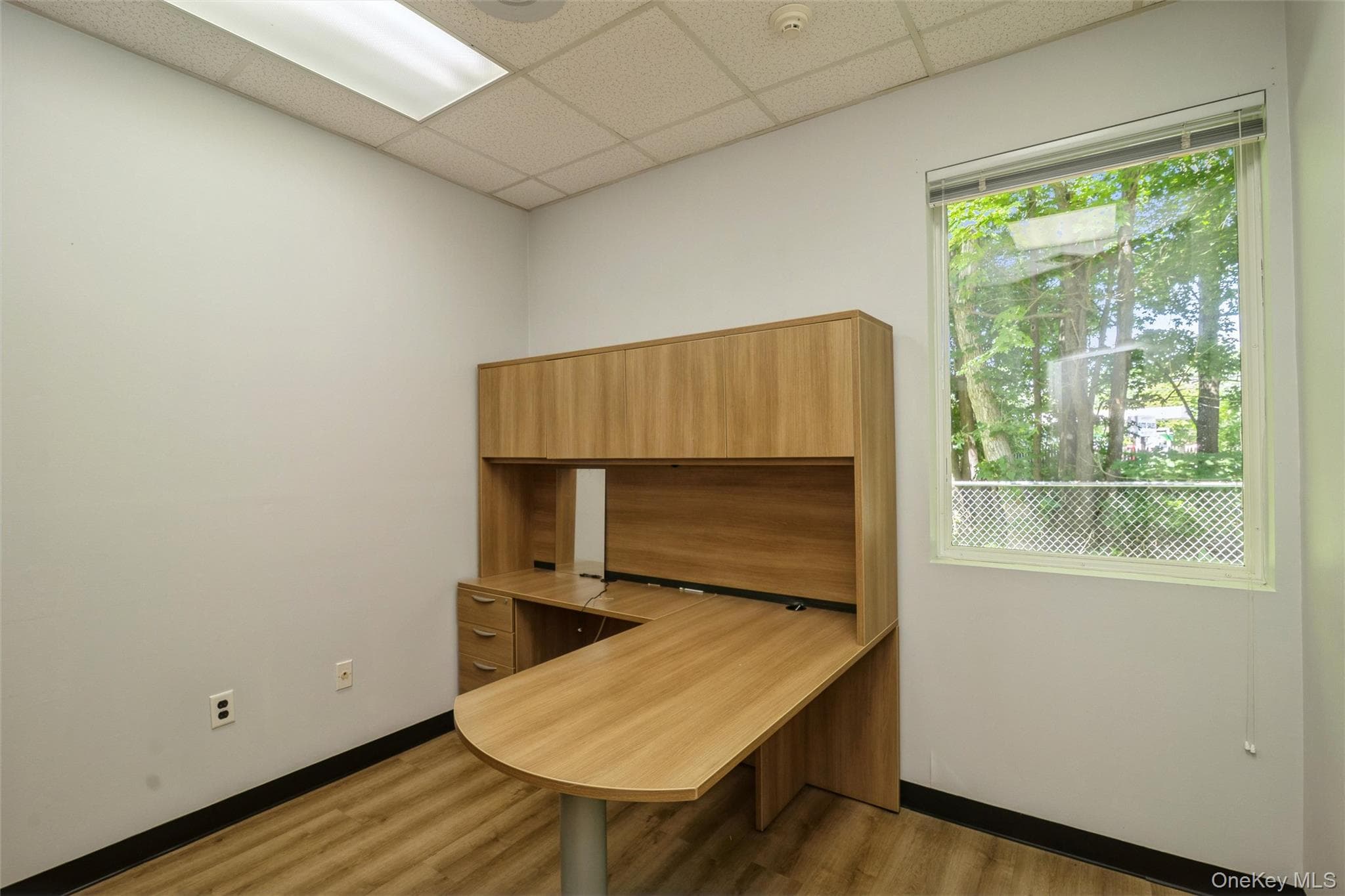 1641A Medford Avenue thumbnail 19