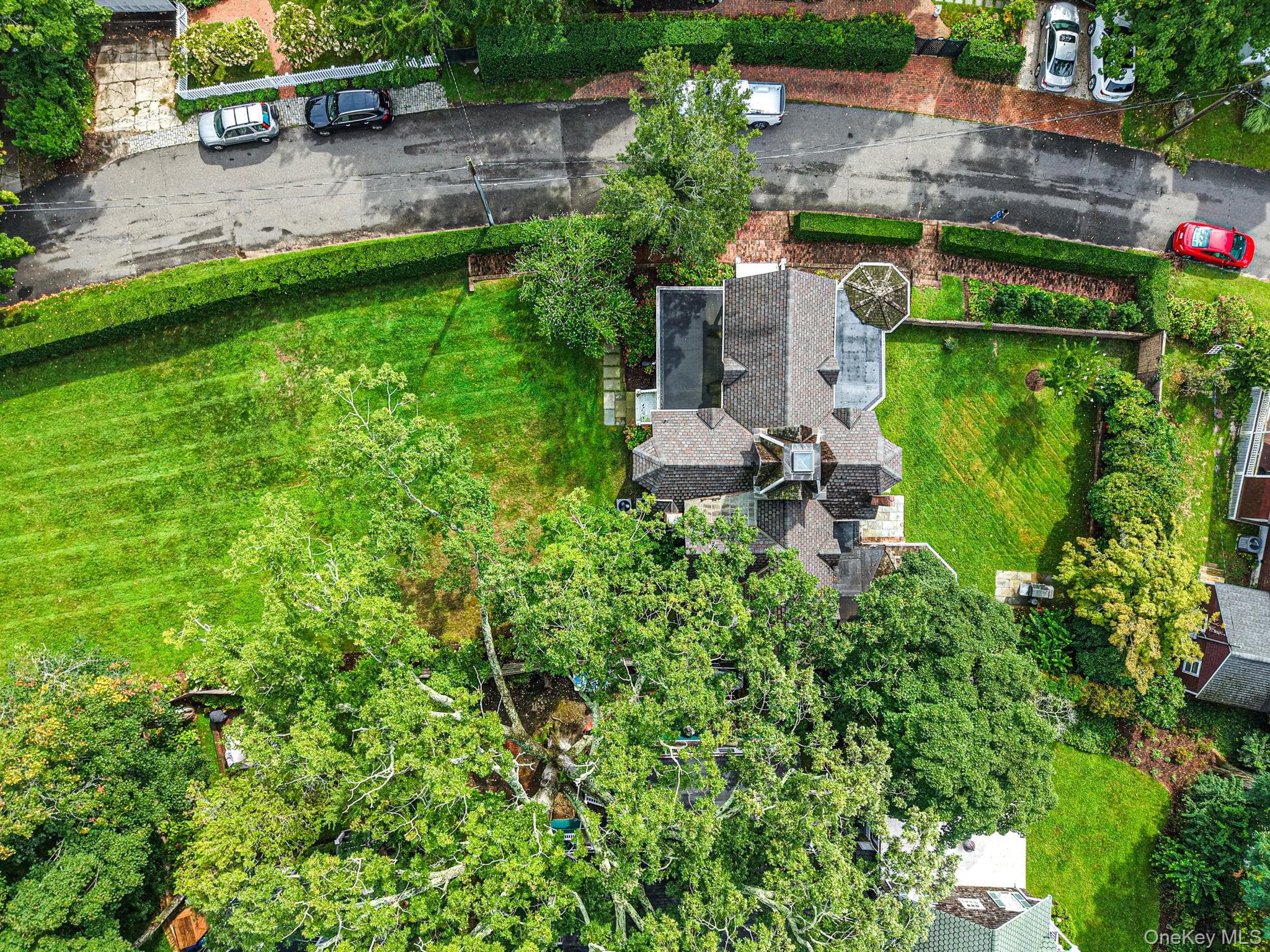 13 Spring Garden Avenue thumbnail 48