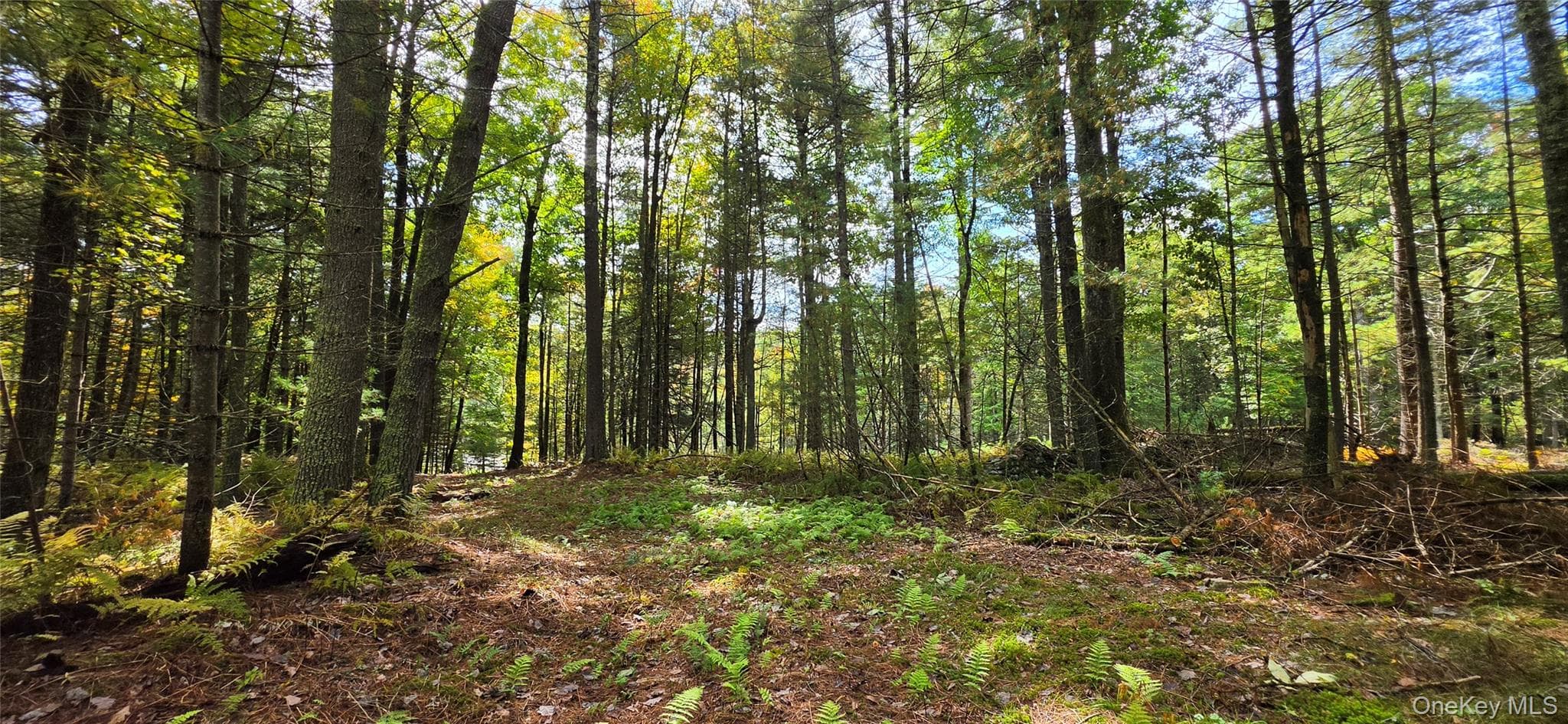Lot 6.17 State Rt 97 thumbnail 14