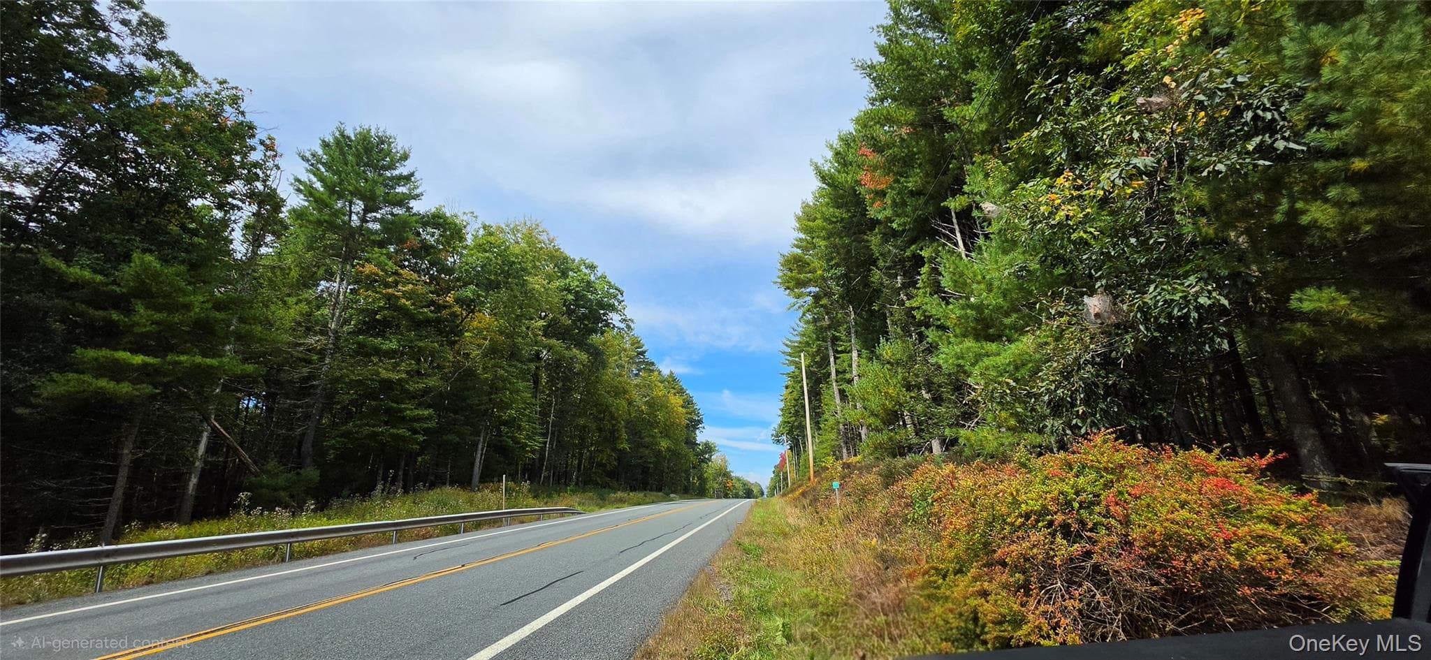 Lot 6.17 State Rt 97 thumbnail 15