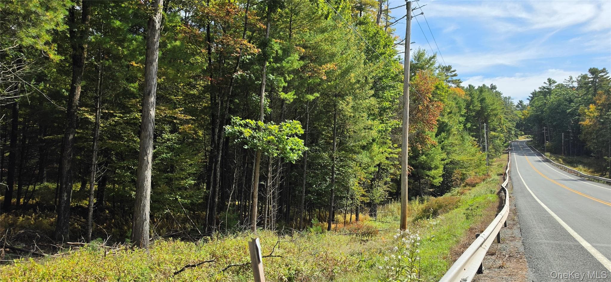 Lot 6.17 State Rt 97 thumbnail 5