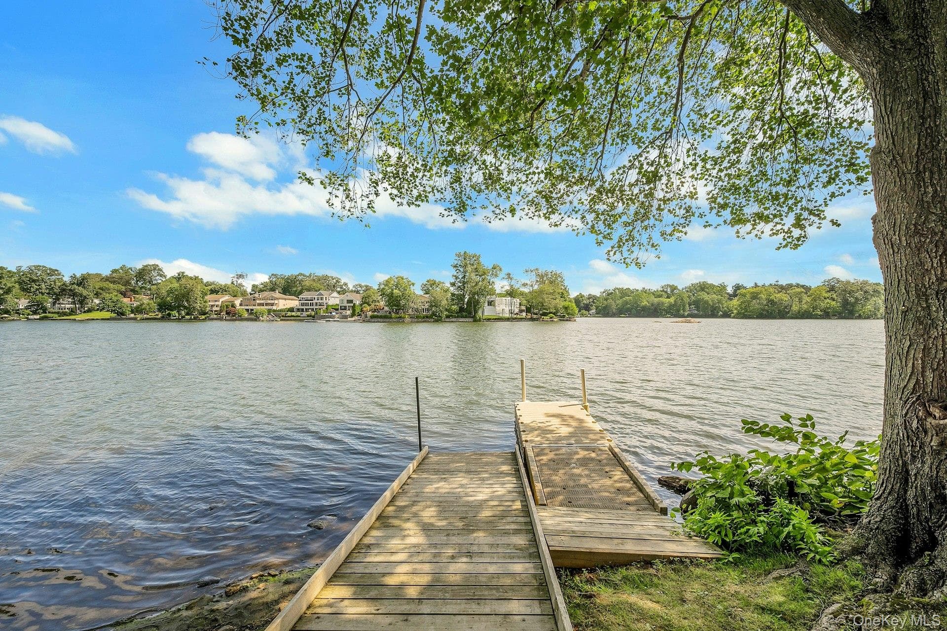 26 Manchester Road Unit: 2L thumbnail 27