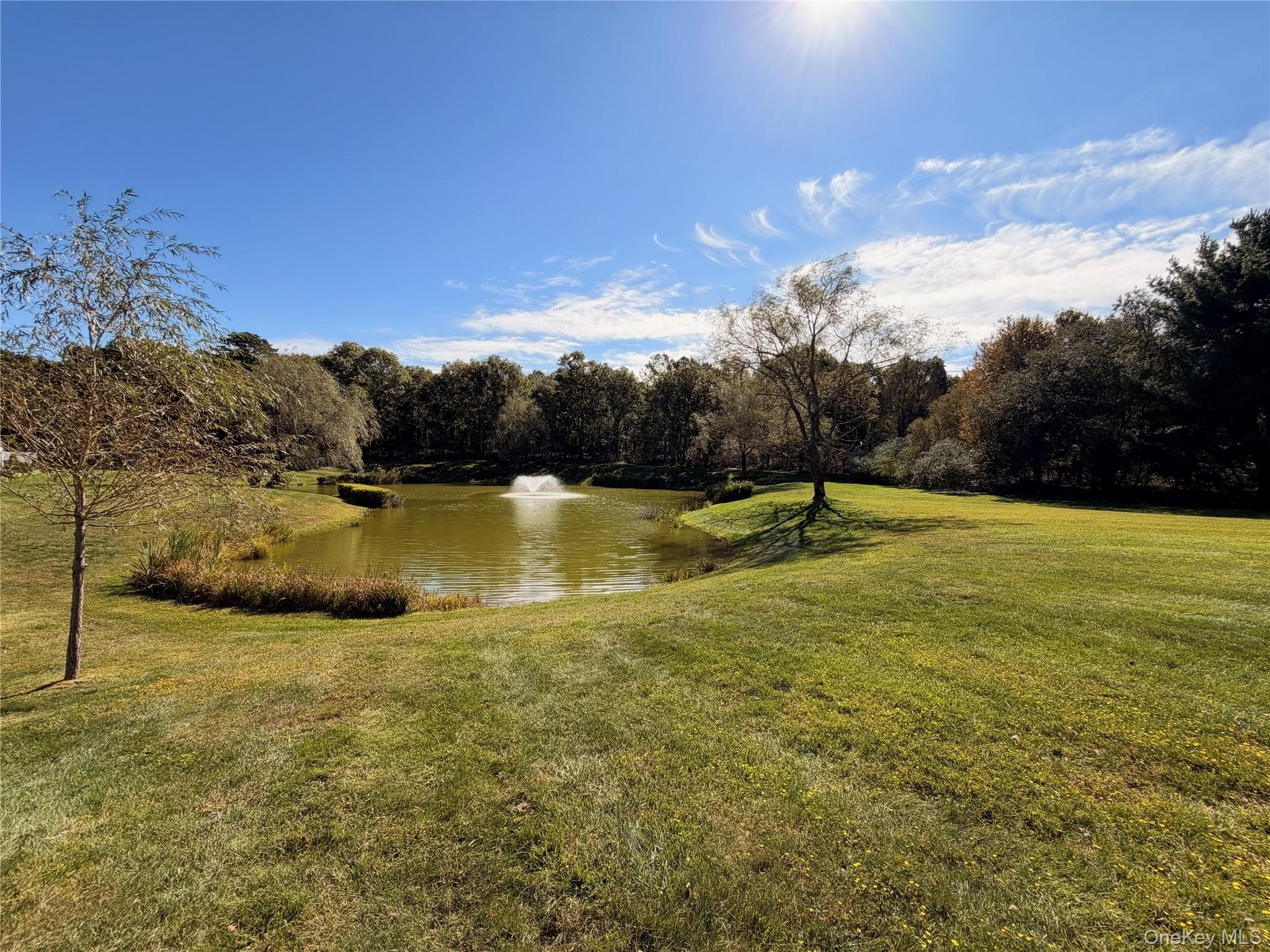 298 Prairie Court thumbnail 18