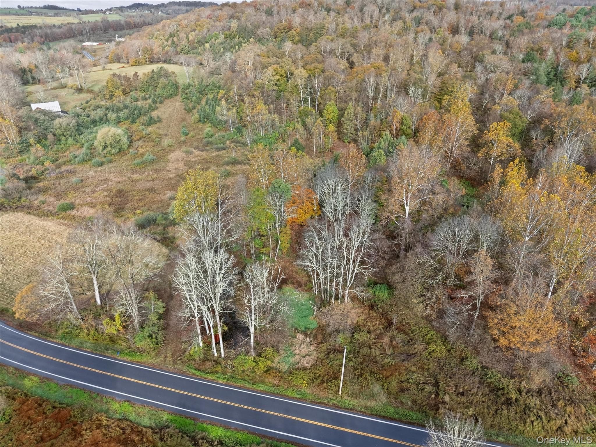 22 State Route 52a thumbnail 17