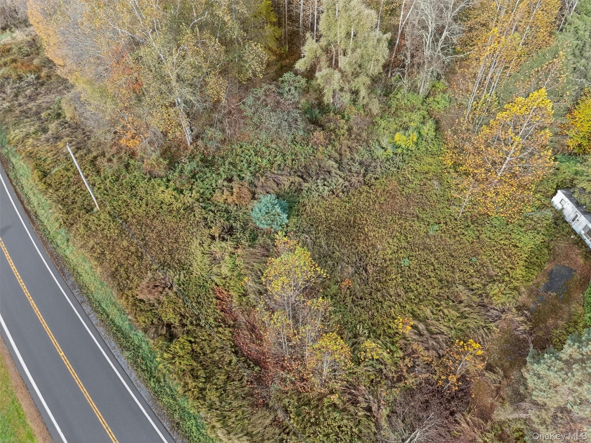 22 State Route 52a thumbnail 16