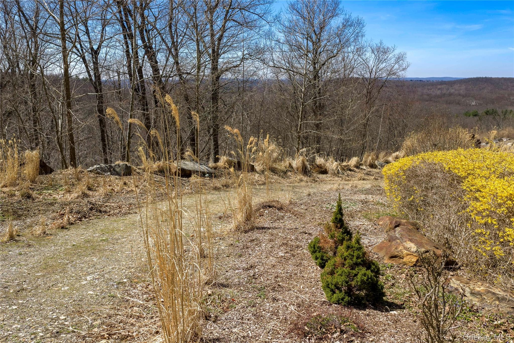 93 Settlers Hill Road thumbnail 8