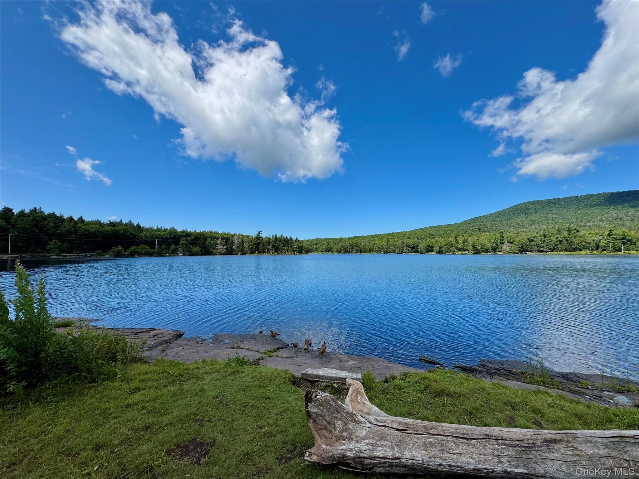 398 Lake Road thumbnail 31