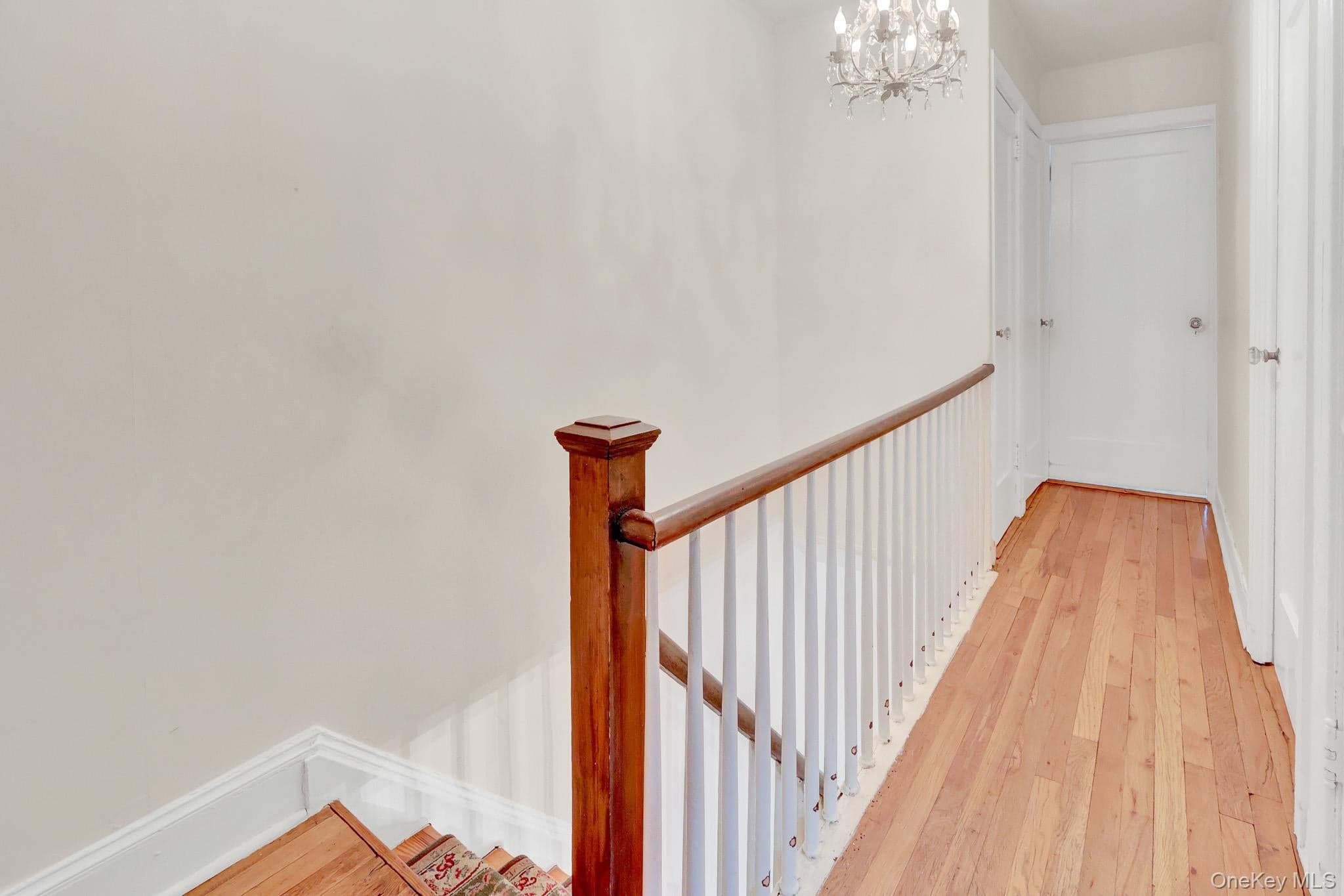 77 Elton Road thumbnail 25